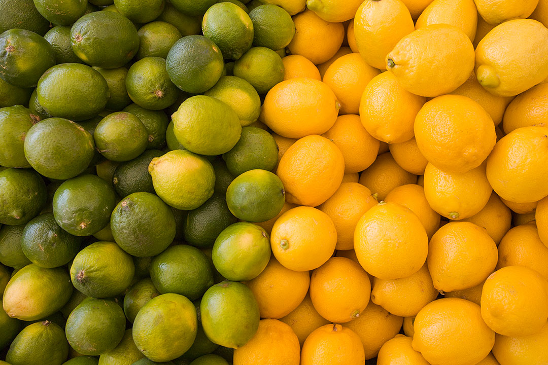 Limes and lemons freshly picked