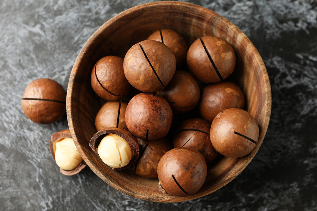 Macadamia Nuts in a bowl