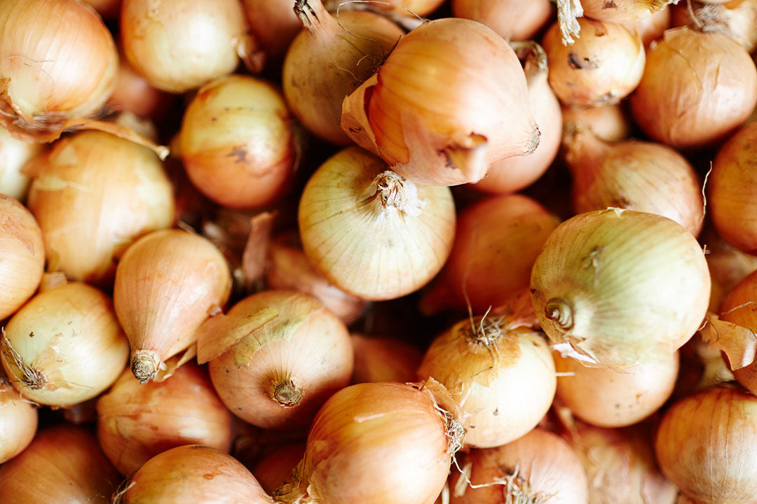 white onions in a box